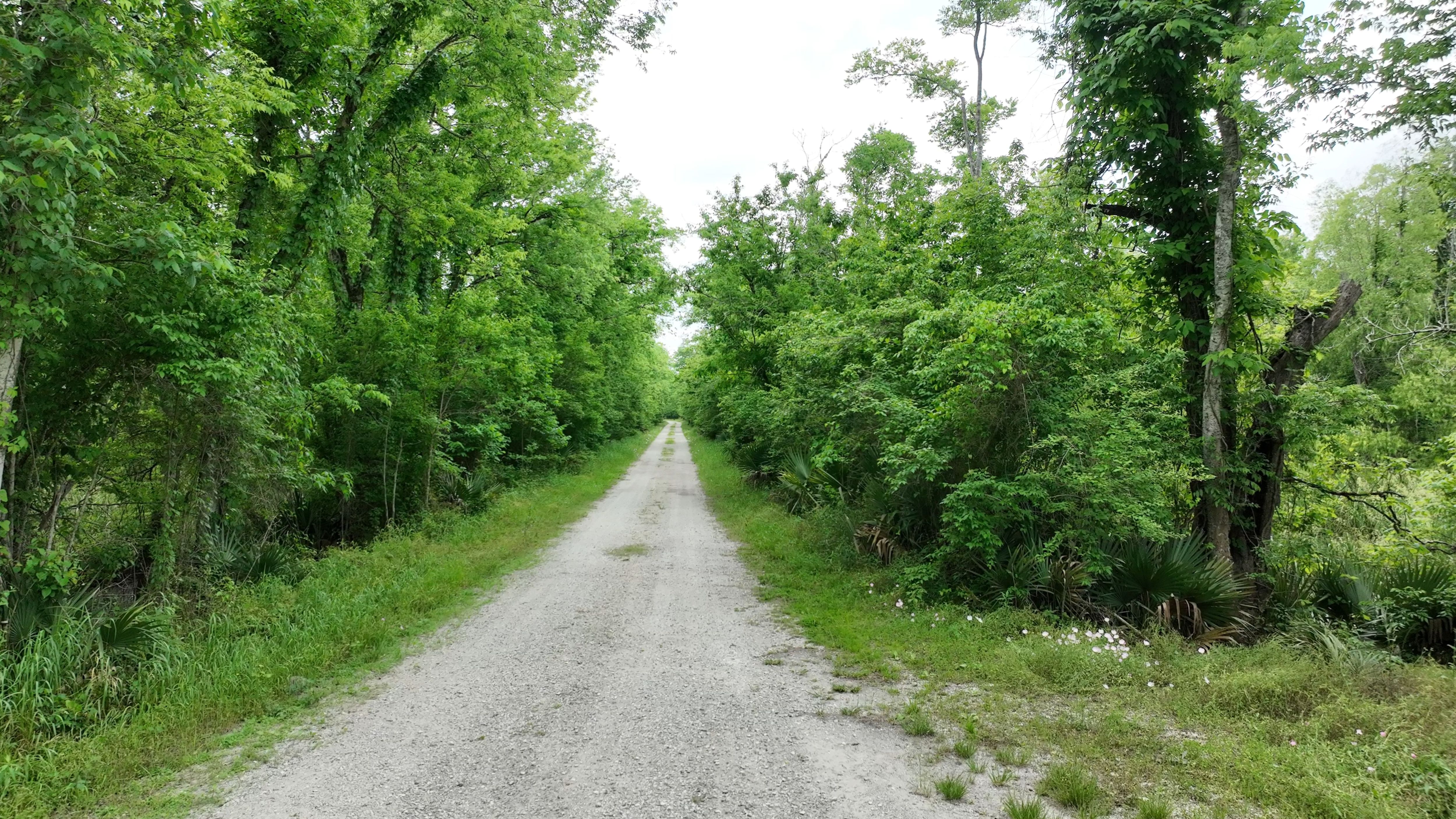 Listing Photo: Louisiana gravel road